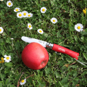 Opinel Zakmes junior MonPremier N°07, rvs hout rood met appel in het gras